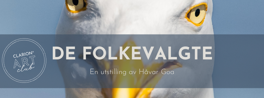 Art Club i Espier Bar: De folkevalgte - En utstilling av Håvar Goa